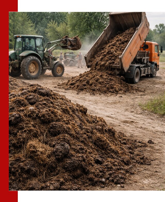 Доставка навоза самосвалами в Северске для сельхозпотребностей